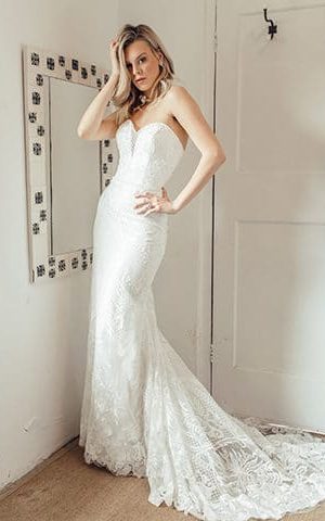 Peter Trends PT20003