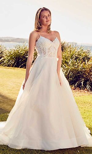 Peter Trends PT20003